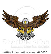Vector Illustration of a Cartoon Fierce Swooping Bald Eagle with Talons Extended, Flying Forward by AtStockIllustration
