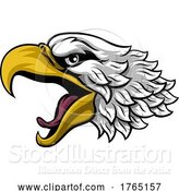 Vector Illustration of Bald Eagle or Hawk Mascot Head Face by AtStockIllustration