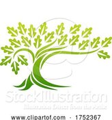 Vector Illustration of Oak Tree by AtStockIllustration