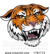 Vector Illustration of Tiger Angry Tigers Team Sports Mascot Roaring by AtStockIllustration