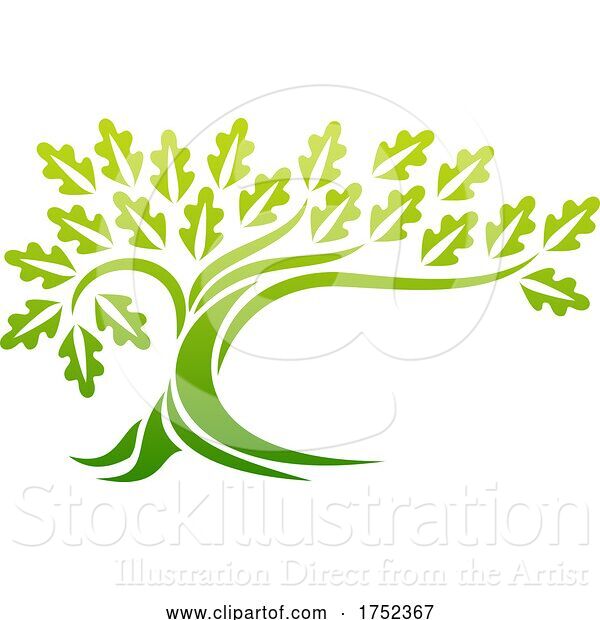 Vector Illustration of Oak Tree