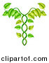 Vector Illustration of a Green Vine Forming an Alternative Medicine Caduceus by AtStockIllustration